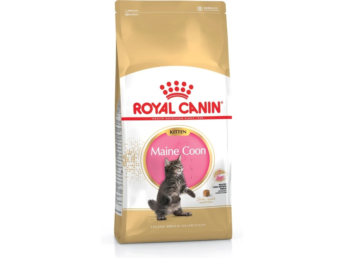 Royal Canin Maine Coon Kitten- dry cat food - 4 kg