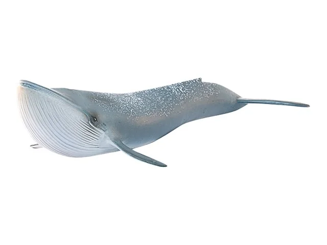 Schleich Wild Life - Blue Whale
