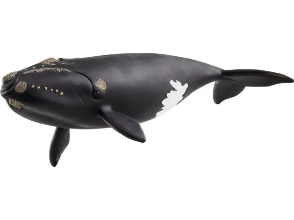 schleich WILD LIFE 14878, 3 vuosi/vuosia, Ice & Ocean, Wild animals / adventure toys, Monivärinen