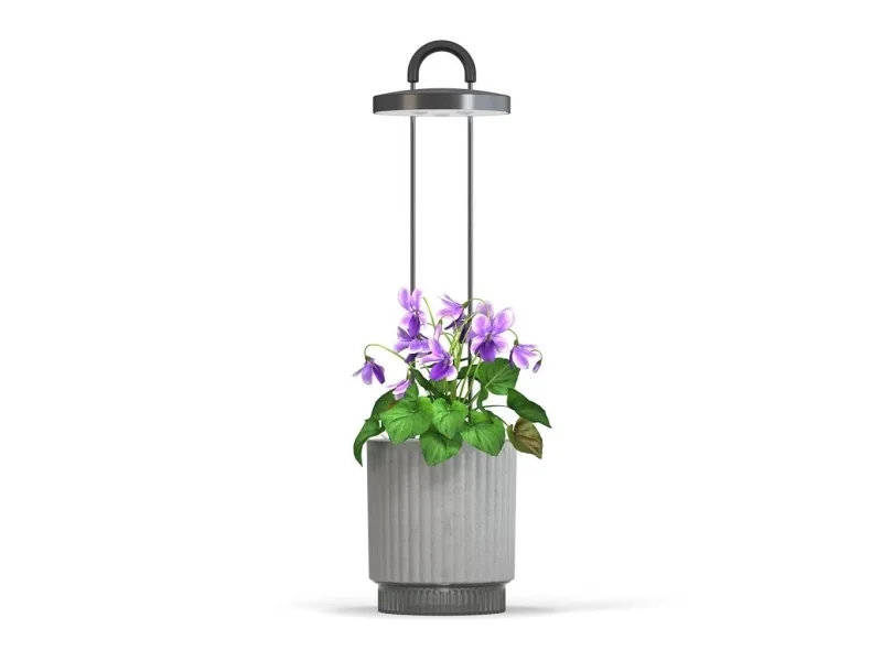 Click And Grow Click & Grow HydroVase -huonekasvien hoitosarja, jossa on LED-valo, itsekasteleva ja automaattinen ajastin - harmaa