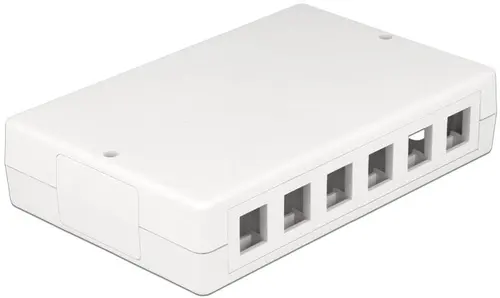 DeLOCK Keystone Surface Mounted Box 12-Port