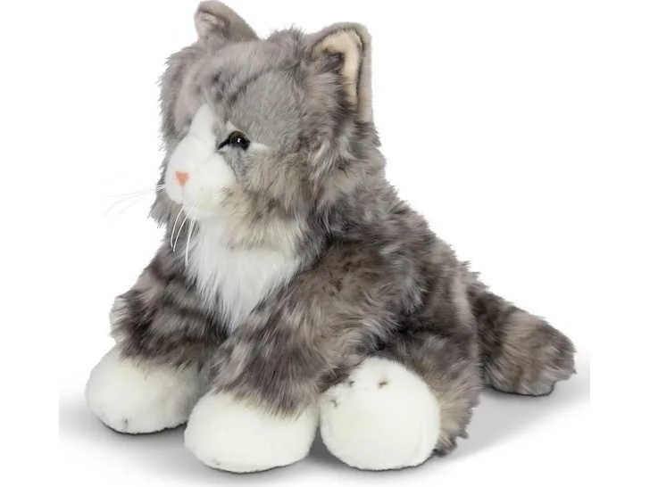 Pörröinen kissa