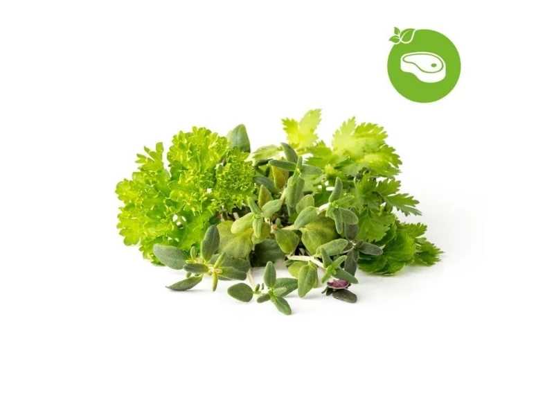 Click & Grow Älypuutarhan täyttöpakkaus, joka sisältää yhdeksän grilli- ja pihvisekoitusta.