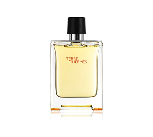 Hermès Terre d' EDT - 100 ml