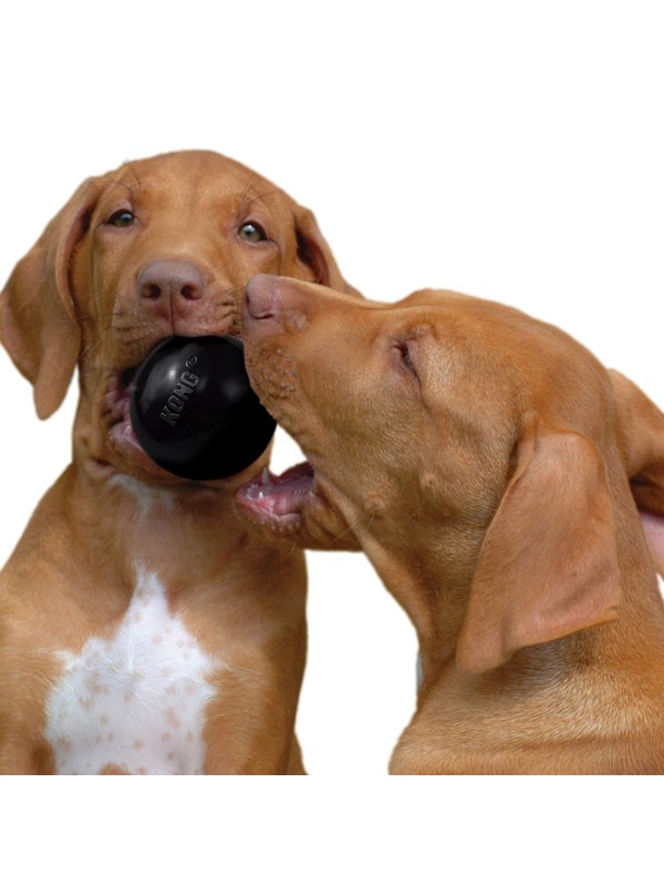 KONG Dog Toy Extreme Ball Medium/Large 7.5cm