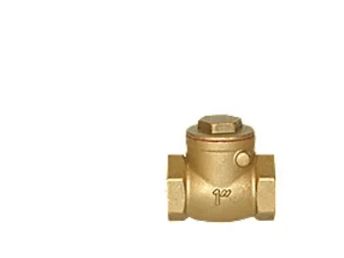 Pettinaroli Brass Keinu check valve with metal disc 2