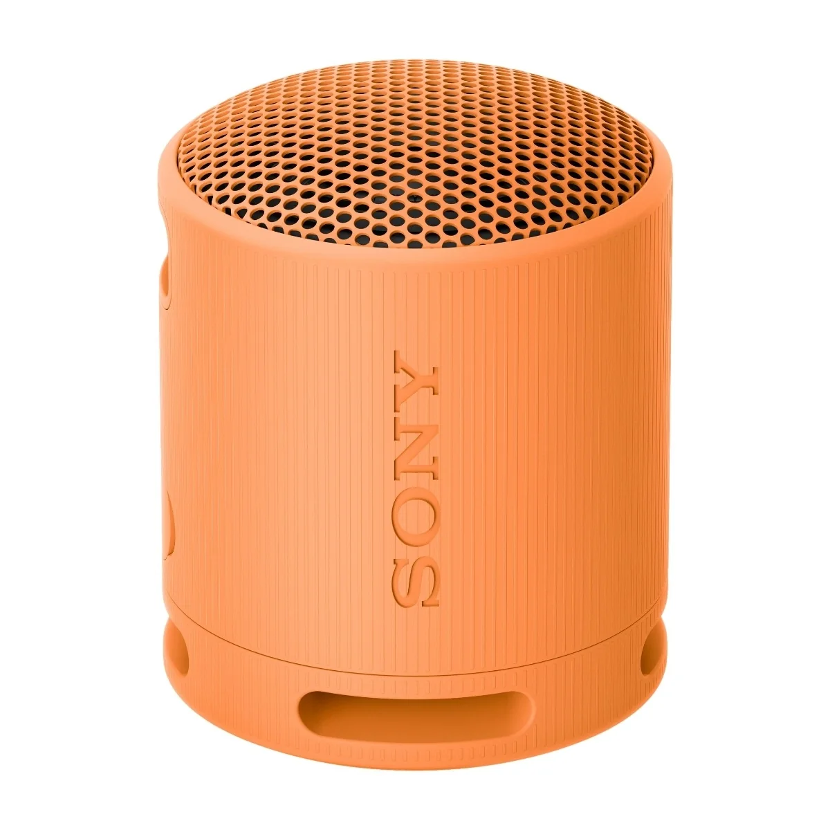 Sony Srs-xb100 Wireless Speaker - Orange Oranssi