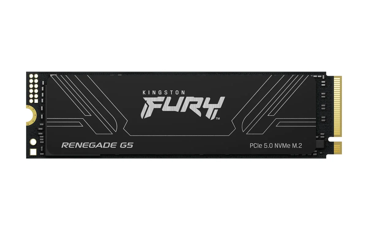 Kingston Fury Renegade G5 2TB (black, PCIe 5.0 x4, NVMe, M.2 2280)